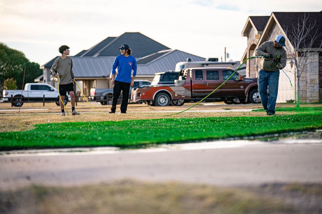 The Bold Gold crew painting a dormant Midland lawn back to green