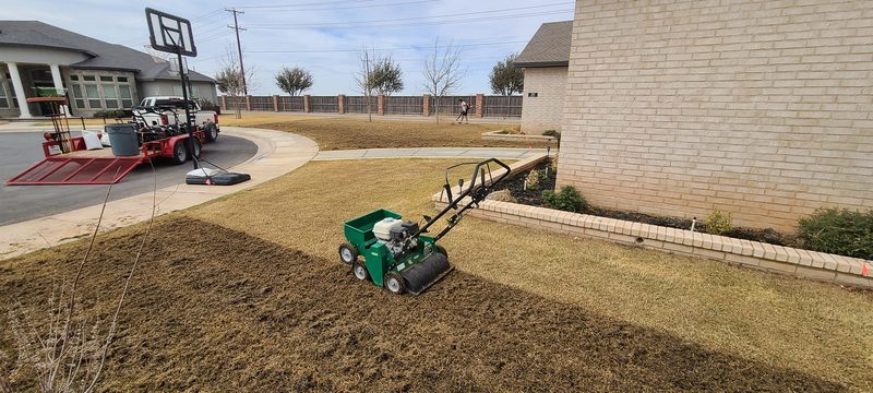 Power dethatching to pull thatch buildup from a lawn