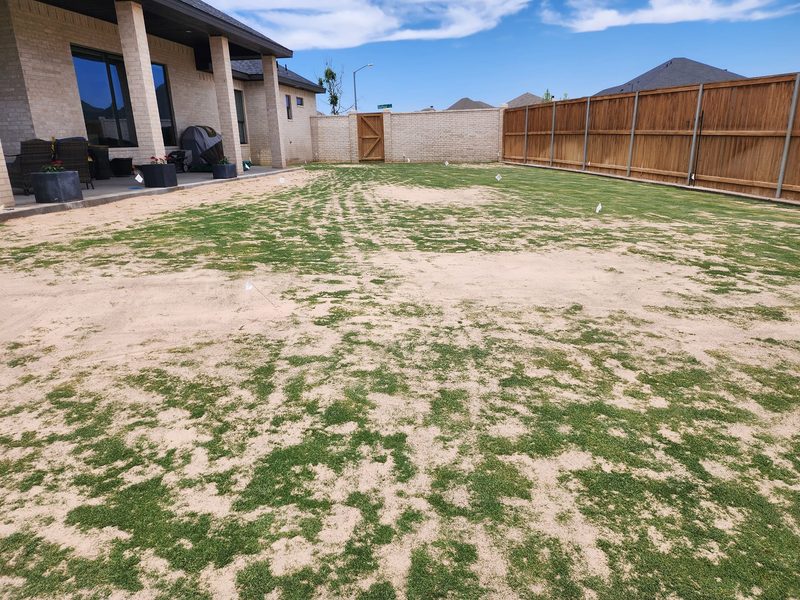 Leveling and grading a lawn's low spots